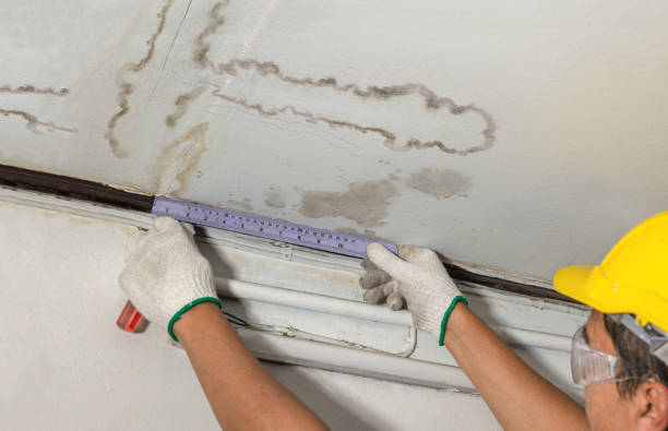 Reliable Water Damage contractor in Beecher, MI by Water Damage Irwin